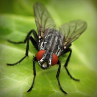 /album/el-blog-de-andrew/photolia-a01-jpg/