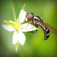 /album/el-blog-de-andrew/photolia-a02-jpg/