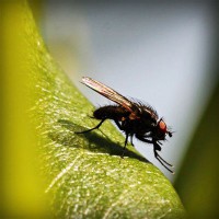 /album/el-blog-de-andrew/photolia-a04-jpg/