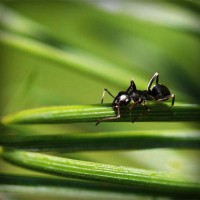 /album/el-blog-de-andrew/photolia-a05-jpg/