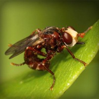 /album/el-blog-de-andrew/photolia-a06-jpg/