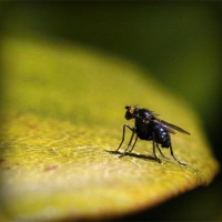 /album/el-blog-de-andrew/photolia-a07-jpg/