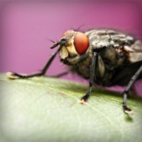 /album/el-blog-de-andrew/photolia-a08-jpg/